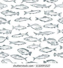 Vector seamless pattern hand drawn fish. Retro background with seafood tilapia, ocean perch, sardine, anchovy, sea bass, dorado and etc.