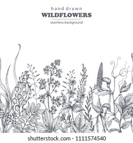 Vector seamless pattern with hand drawn herbs and wildflowers