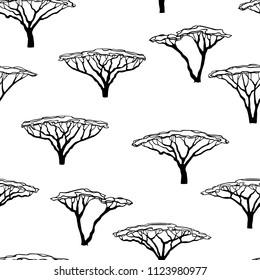 Vector seamless pattern with hand drawn Umbrella Thorn Acacia. Beautiful design elements, perfect for prints and patterns.