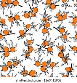 Vector seamless pattern with hand drawn orange tree branches. Ink drawing, graphic style, beautiful design elements