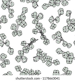 Vector seamless pattern with hand drawn cotton flowers. Beautiful floral design, ink drawing.