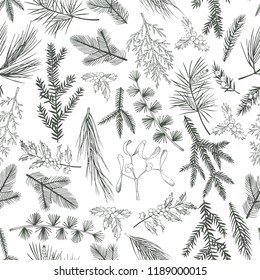 Vector  seamless pattern with hand drawn Christmas plants