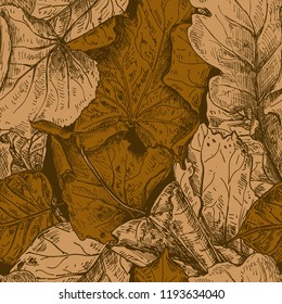 Vector seamless pattern with hand drawn dry autumn leaves. Beautiful autumn endless illustration in sketch style for textile, prints, package.