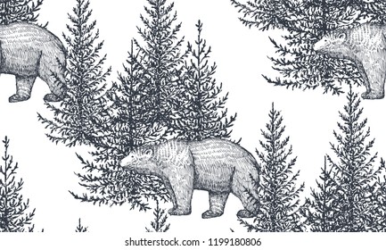 Vector seamless pattern with hand drawn bears and trees. Fir forest on white background. Monochrome illustration in sketch style