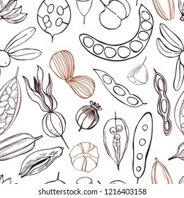 Vector  seamless pattern with hand drawn seedpods. 