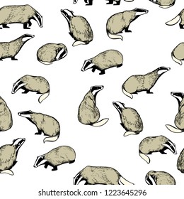 Vector seamless pattern with hand drawn badgers. Beautiful animal design elements, ink drawing, perfect for prints and patterns