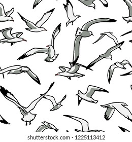 Vector seamless pattern with  hand drawn flying seagulls. Ink drawing, beautiful animal design elements.