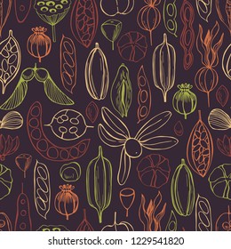 Vector  seamless pattern with hand drawn seedpods. 