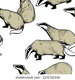 Vector seamless pattern with hand drawn badgers. Beautiful animal design elements, ink drawing, perfect for prints and patterns