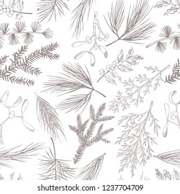 Vector  seamless pattern with hand drawn Christmas plants