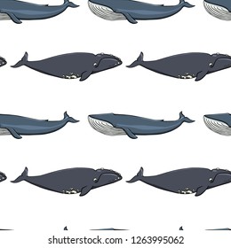 Vector seamless pattern with hand drawn whales. Beautiful ink drawing, heavy contour. Perfect design elements, marine animal illustration