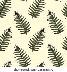 Vector seamless pattern with hand drawn fern leaves. Ink drawing, beautiful floral design elements.