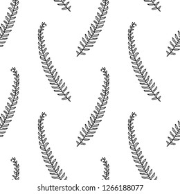 Vector seamless pattern with hand drawn fern leaves. Ink drawing, beautiful floral design elements.