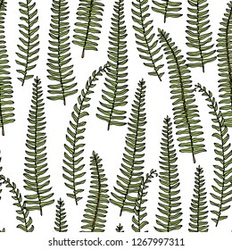 Vector seamless pattern with hand drawn fern leaves. Ink drawing, beautiful floral design elements.