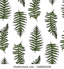 Vector seamless pattern with hand drawn fern leaves. Ink drawing, beautiful floral design elements.