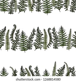 Vector seamless pattern with hand drawn fern leaves. Ink drawing, beautiful floral design elements.