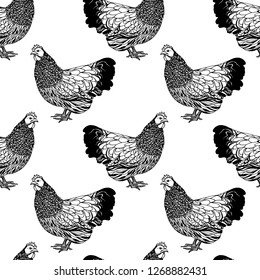 Vector seamless pattern with hand drawn chickens. Ink drawing, beautiful food design elements.