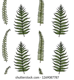 Vector seamless pattern with hand drawn fern leaves. Ink drawing, beautiful floral design elements.