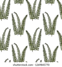 Vector seamless pattern with hand drawn fern leaves. Ink drawing, beautiful floral design elements.