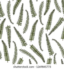 Vector seamless pattern with hand drawn fern leaves. Ink drawing, beautiful floral design elements.