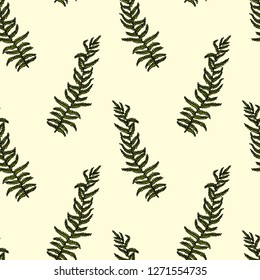 Vector seamless pattern with hand drawn fern leaves. Ink drawing, beautiful floral design elements.