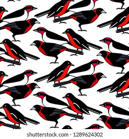 Vector seamless pattern with hand drawn bright tropical birds. Beautiful animal design element, ink drawing, perfect for prints and patterns