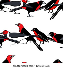 Vector seamless pattern with hand drawn bright tropical birds. Beautiful animal design element, ink drawing, perfect for prints and patterns