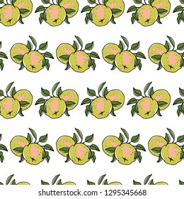 Vector seamless pattern with hand drawn Blanc d'Hiver apples. Beautiful food design elements. Ink drawing, perfect for prints and patterns