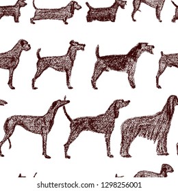 Vector seamless pattern with hand drawn dog breeds variety. Cute dogs characters drawn with chalk. Perfect for prints and patterns