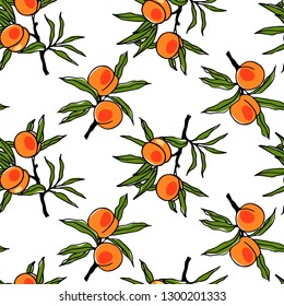 Vector seamless pattern with hand drawn peach twigs. Beautiful food design elements. Ink drawing, perfect for prints and patterns