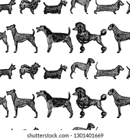 Vector seamless pattern with hand drawn dog breeds variety. Cute dogs characters drawn with chalk. Perfect for prints and patterns