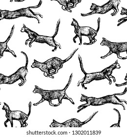 Vector seamless pattern with hand drawn playful cats made with black chalk. Graphic style, beautiful design elements, perfect for prints and patterns
