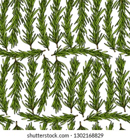 Vector seamless pattern with hand drawn rosemary twigs. Beautiful food design elements, ink drawing