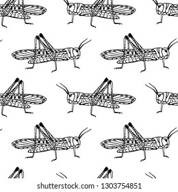 Vector seamless pattern with hand drawn cute grasshoppers. Beautiful animal design elements, ink drawing, perfect for prints and patterns