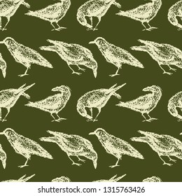 Vector seamless pattern with hand drawn eating city birds. Beautiful chalk drawing, perfect for prints and patterns