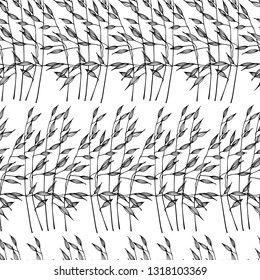Vector seamless pattern with hand drawn meadow grass. Beautiful floral design elements, perfect for prints and patterns