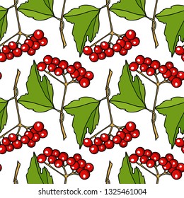 Vector seamless pattern with hand drawn viburnum twigs. Beautiful design elements, perfect for prints and pattern