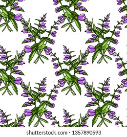 Vector seamless pattern with hand drawn scullcap twigs. Beautiful floral design elements, ink drawing, perfect for prints and patterns