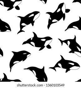 Vector seamless pattern of hand drawn killer whale swimming on white background