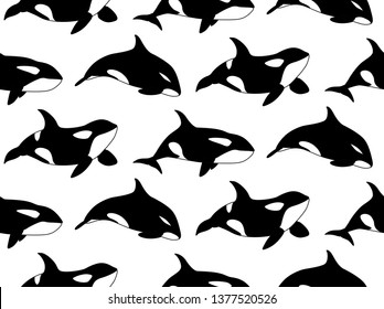 Vector seamless pattern of hand drawn killer whale swimming on white background. Jamb of Orca
