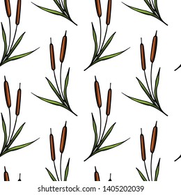 Vector seamless pattern with hand drawn cattail twigs made with ink. Beautiful floral design elements, perfect for prints and patterns