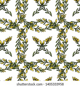 Vector seamless pattern with hand drawn dyer's greenweed twigs. Beautiful floral design elements, ink drawing