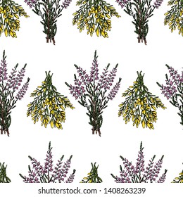 Vector seamless pattern with hand drawn dyer's greenweed  and heather bouquets. Beautiful floral design elements, ink drawing