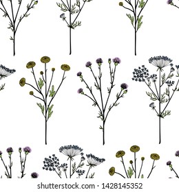 Vector seamless pattern with hand drawn wildflower twigs. Beautiful ink drawing, floral design elements, vintage style. Perfect for prints and patterns