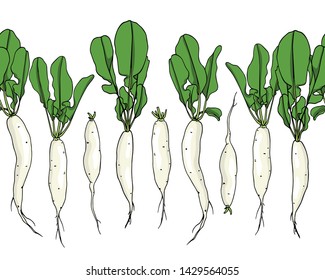 Vector seamless pattern with hand drawn raw White Icicle radish. Beautiful food design elements, ink drawing. Perfect for prints and patterns