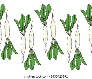 Vector seamless pattern with hand drawn raw White Icicle radish. Beautiful food design elements, ink drawing. Perfect for prints and patterns