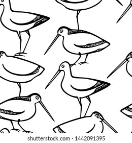 Vector seamless pattern with hand drawn cute sandpipers. Beautiful animal design elements, ink drawing.