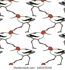 Vector seamless pattern with hand drawn cute Red-necked Avocets. Beautiful animal design elements, ink drawing,perfect for prints and patterns