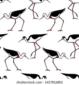 Vector seamless pattern with hand drawn cute banded and black-necked stilts. Beautiful animal design elements, ink drawing, perfect for prints and patterns