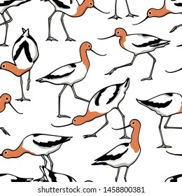 Vector seamless pattern with hand drawn cute American Avocets. Beautiful animal design elements, ink drawing,perfect for prints and patterns